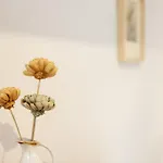 Ostkueste - Groth Design Daire Heringsdorf