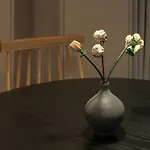 Appartement Ostkueste - Groth Design Heringsdorf (Usedom)