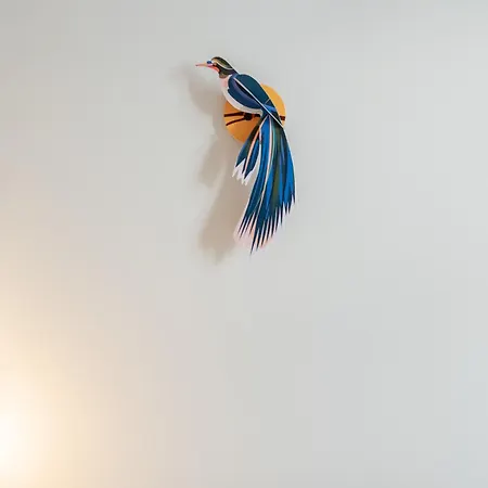 Ostkueste - Groth Design * 塞巴特黑灵斯多夫